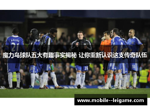 魔力鸟球队五大有趣事实揭秘 让你重新认识这支传奇队伍