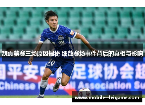魏震禁赛三场原因揭秘 细数赛场事件背后的真相与影响