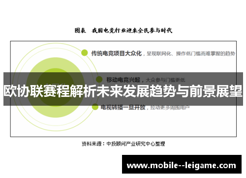 欧协联赛程解析未来发展趋势与前景展望